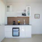 Apartment Calma Lefkada Athanion